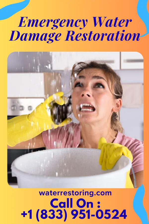Emergency Water Damage Restoration in Lakeview, LA