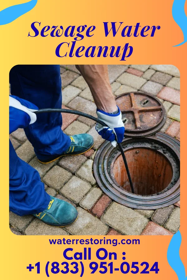 Sewage Water Cleanup in Lakeview, LA