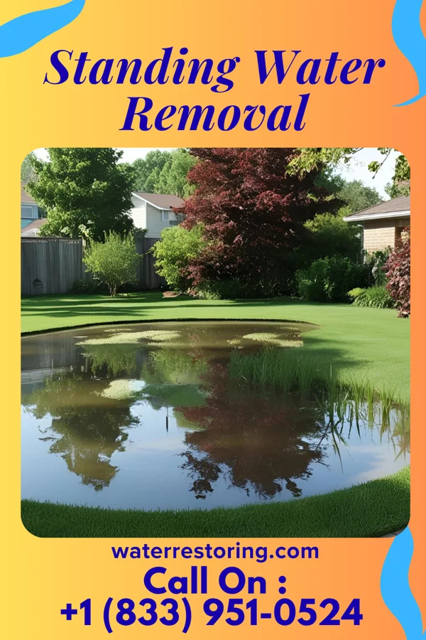 Standing Water Removal in Lakeview, LA